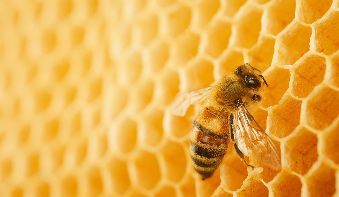 Ukončujeme sezónu 2019