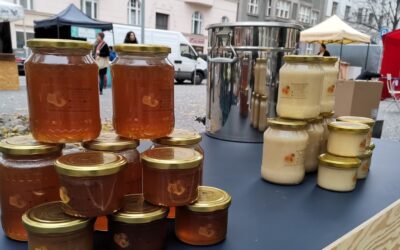 Bez správného vybavení to nejde: co potřebuje opravdu každý včelař