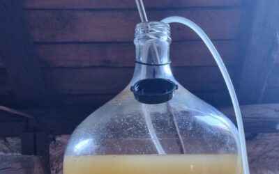 Ani na podzim nezahálíme