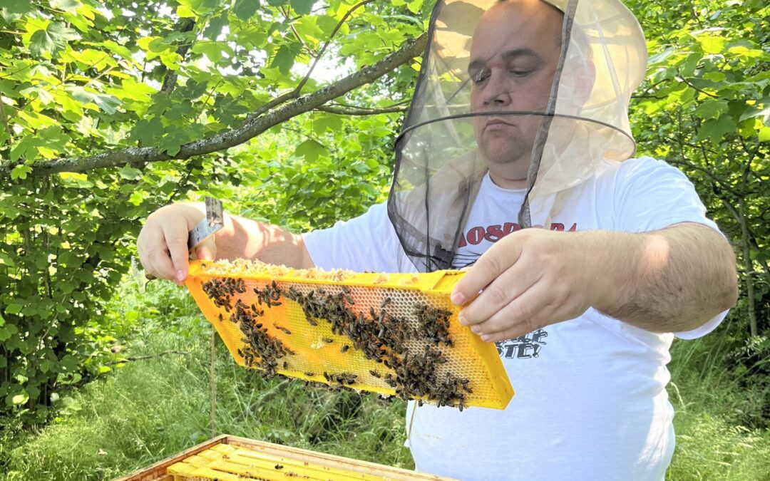 Začínáte se včelařením? To chce správný kurz